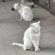 さき NO MUSIC  NO LIFE 大宮おかあさん