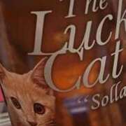 さき 欲しいモノ 大宮おかあさん