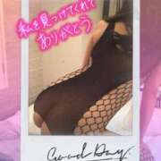 ヒメ日記 2025/09/28 02:26 投稿 しの 大宮おかあさん