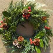 ヒメ日記 2024/12/14 10:21 投稿 ふゆみ 大宮おかあさん