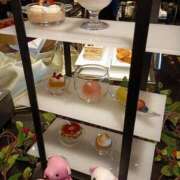 ヒメ日記 2025/02/19 23:51 投稿 ふゆみ 大宮おかあさん