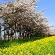 ヒメ日記 2025/04/10 11:21 投稿 ふゆみ 大宮おかあさん