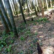 ヒメ日記 2025/04/30 11:21 投稿 ふゆみ 大宮おかあさん