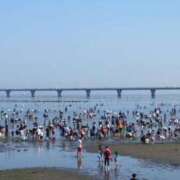 ヒメ日記 2025/06/08 16:21 投稿 ふゆみ 大宮おかあさん