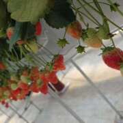 ヒメ日記 2026/02/28 12:56 投稿 ふゆみ 大宮おかあさん