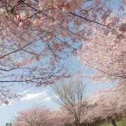 ヒメ日記 2026/03/07 11:35 投稿 ふゆみ 大宮おかあさん
