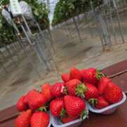 ヒメ日記 2026/04/24 11:16 投稿 ふゆみ 大宮おかあさん