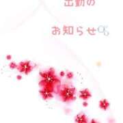 ヒメ日記 2024/12/15 22:01 投稿 ふうか 大宮おかあさん