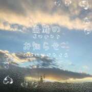 ヒメ日記 2025/02/13 11:26 投稿 ふうか 大宮おかあさん