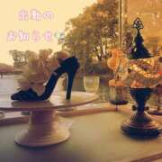 ヒメ日記 2025/03/27 16:25 投稿 ふうか 大宮おかあさん