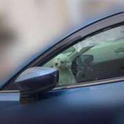 ヒメ日記 2025/04/20 23:06 投稿 ふうか 大宮おかあさん