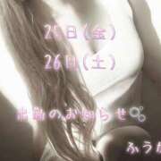 ヒメ日記 2025/07/20 16:26 投稿 ふうか 大宮おかあさん