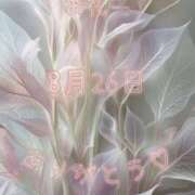 ヒメ日記 2025/08/29 16:01 投稿 ふうか 大宮おかあさん