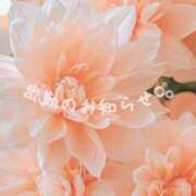 ヒメ日記 2026/02/22 17:06 投稿 ふうか 大宮おかあさん