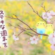 ヒメ日記 2024/04/13 09:03 投稿 みなよ 大宮おかあさん