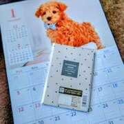 ヒメ日記 2024/12/05 12:02 投稿 みなよ 大宮おかあさん