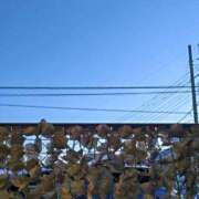 ヒメ日記 2024/12/07 07:37 投稿 みなよ 大宮おかあさん