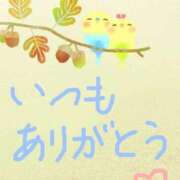 ヒメ日記 2024/12/11 15:20 投稿 みなよ 大宮おかあさん