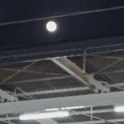 ヒメ日記 2024/12/17 17:21 投稿 みなよ 大宮おかあさん