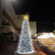 ヒメ日記 2024/12/21 16:26 投稿 みなよ 大宮おかあさん