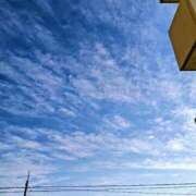 ヒメ日記 2024/12/26 08:01 投稿 みなよ 大宮おかあさん