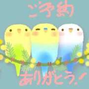 ヒメ日記 2024/12/29 14:36 投稿 みなよ 大宮おかあさん