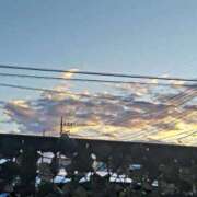 ヒメ日記 2024/12/30 07:23 投稿 みなよ 大宮おかあさん