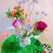 ヒメ日記 2024/12/31 08:12 投稿 みなよ 大宮おかあさん