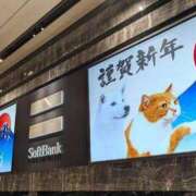 ヒメ日記 2025/01/06 09:31 投稿 みなよ 大宮おかあさん