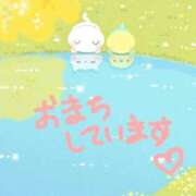 ヒメ日記 2025/03/17 11:00 投稿 みなよ 大宮おかあさん