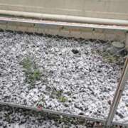 ヒメ日記 2025/03/19 09:00 投稿 みなよ 大宮おかあさん