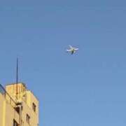 ヒメ日記 2025/03/23 10:40 投稿 みなよ 大宮おかあさん