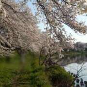 ヒメ日記 2025/03/28 08:57 投稿 みなよ 大宮おかあさん