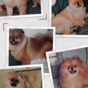 ヒメ日記 2025/04/07 09:01 投稿 みなよ 大宮おかあさん