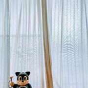 ヒメ日記 2025/04/15 07:04 投稿 みなよ 大宮おかあさん