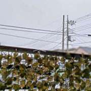 ヒメ日記 2025/04/25 06:59 投稿 みなよ 大宮おかあさん