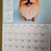 ヒメ日記 2025/05/01 08:00 投稿 みなよ 大宮おかあさん