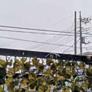 ヒメ日記 2025/05/10 06:31 投稿 みなよ 大宮おかあさん