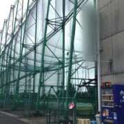 ヒメ日記 2025/05/12 07:32 投稿 みなよ 大宮おかあさん