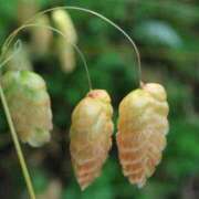 ヒメ日記 2025/05/26 08:06 投稿 みなよ 大宮おかあさん