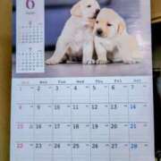 ヒメ日記 2025/06/01 07:07 投稿 みなよ 大宮おかあさん