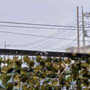 ヒメ日記 2025/06/03 06:59 投稿 みなよ 大宮おかあさん