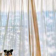 ヒメ日記 2025/06/04 05:25 投稿 みなよ 大宮おかあさん