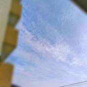 ヒメ日記 2025/06/09 07:13 投稿 みなよ 大宮おかあさん