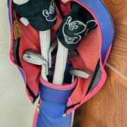 ヒメ日記 2025/06/09 12:03 投稿 みなよ 大宮おかあさん