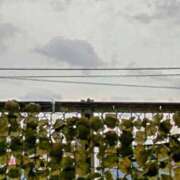 ヒメ日記 2025/06/14 08:38 投稿 みなよ 大宮おかあさん