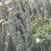 ヒメ日記 2025/06/18 12:16 投稿 みなよ 大宮おかあさん