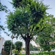 ヒメ日記 2025/06/20 07:00 投稿 みなよ 大宮おかあさん