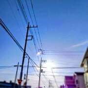 ヒメ日記 2025/06/22 06:16 投稿 みなよ 大宮おかあさん