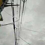 ヒメ日記 2025/06/24 06:48 投稿 みなよ 大宮おかあさん